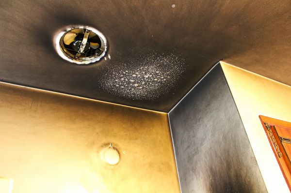 Cost of Smoke Damage Removal in Seminole